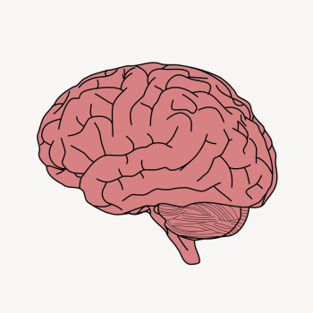 Human brain clipart, Halloween cartoon | Free Vector - rawpixel