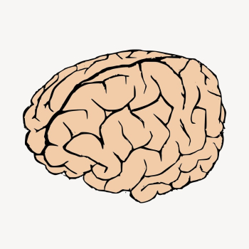 Human brain doodle, illustration vector. | Free Vector - rawpixel Human brain doodle, illustration vector. | Free Vector - rawpixel