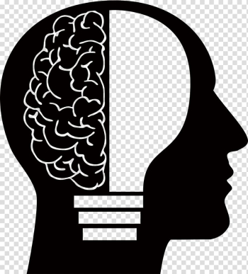 Human brain forming light bulb , Human brain Homo sapiens Human head , Brain transparent background PNG clipart
