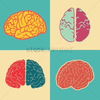 Human brain set Human brain set