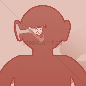 Human ear structure Human ear structure