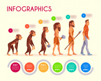 Human evolution infographics. steps of monkey transforming to modern man, time line. Free Vector