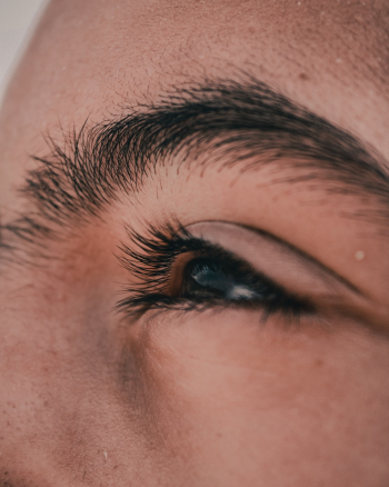 Human Eye Human Eye