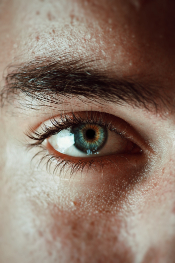 Human Eye Human Eye