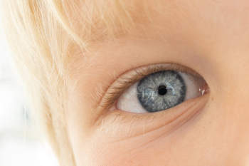Human Eye Human Eye