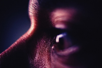 Human Eye Human Eye