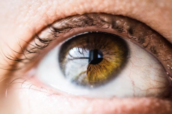 human eye human eye