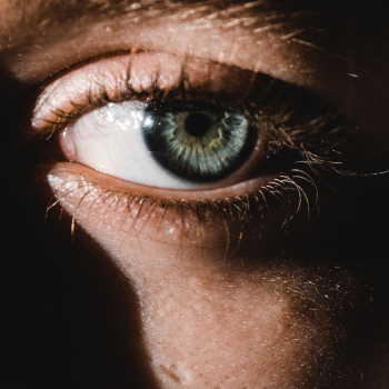 Human Eye Human Eye