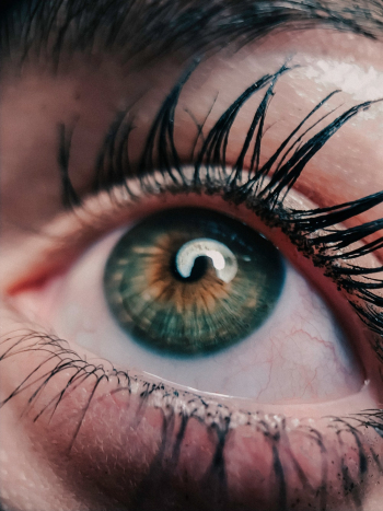 Human Eye Human Eye