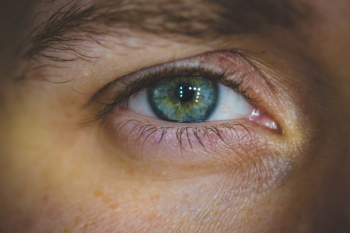 Human Eye Human Eye