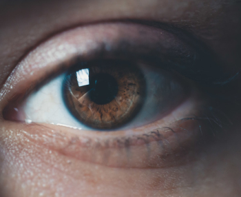 Human Eye Human Eye