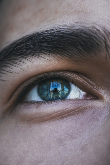 Human Eye Human Eye