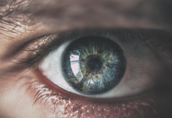 Human Eye Human Eye