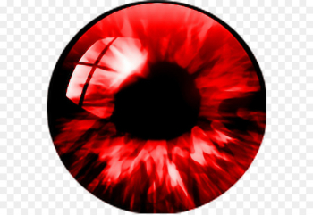 Human eye Iris Pupil Light - Eye Human eye Iris Pupil Light - Eye