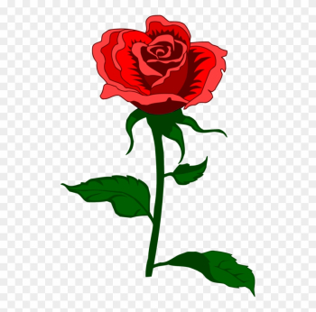 Human Eye Light Camera - Mother's Day Rose Human Eye Light Camera - Mother's Day Rose