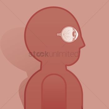 Human eye structure Human eye structure