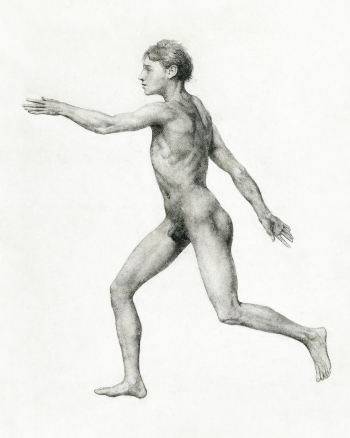 Human Figure, Lateral View, Undissected… | Free public domain illustration Human Figure, Lateral View, Undissected… | Free public domain illustration