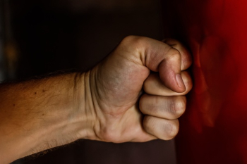 Human Fist Human Fist