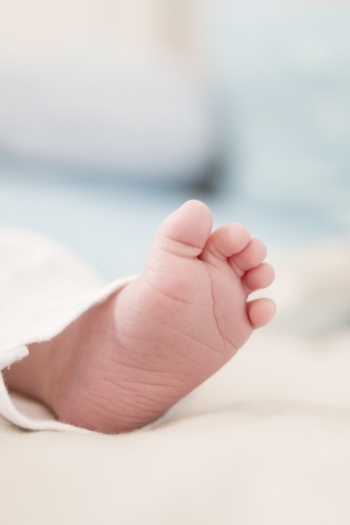 Human Foot Human Foot