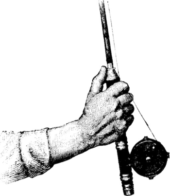Human Hand Holding Fishing Rod - Hunting vintage illustrations vector