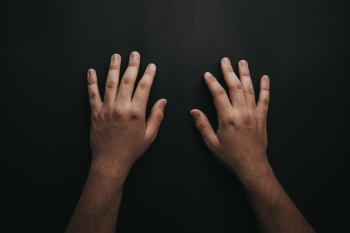 Human Hands Human Hands