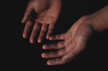 Human Hands Human Hands