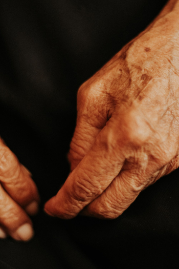Human Hands Human Hands