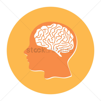 Human head with brain Human head with brain