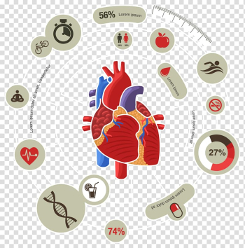 Human heart with captions illustration, Myocardial infarction Heart Cardiovascular disease Symptom, Medical Biology Innovation Chart transparent background PNG clipart