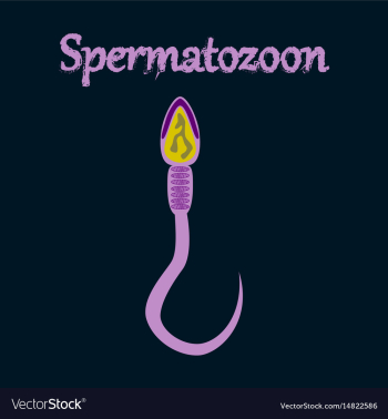 Human icon in flat style spermatozoon vector image