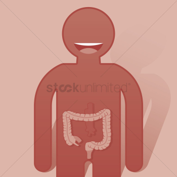 Human large intestine Human large intestine