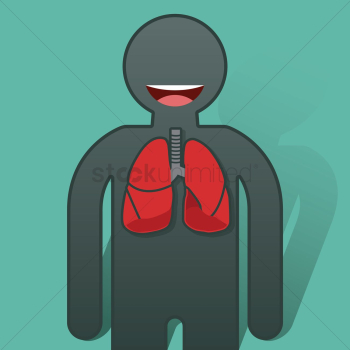 Human lungs anatomy Human lungs anatomy