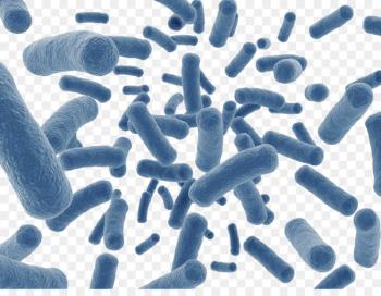 Human Microbiome Project Dietary supplement Disease Gut flora Microbiota - Sky blue insect-shaped microbes 