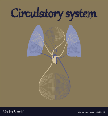 Human organ icon in flat style circulatory system vector image Human organ icon in flat style circulatory system vector image