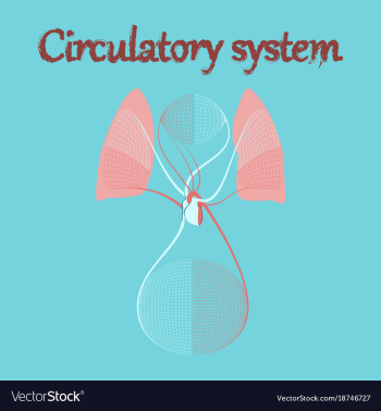 Human organ icon in flat style circulatory system vector image Human organ icon in flat style circulatory system vector image