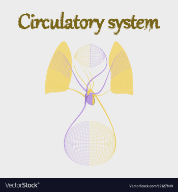 Human organ icon in flat style circulatory system vector image Human organ icon in flat style circulatory system vector image