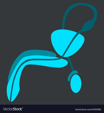 Human organ icon in flat style male reproductive vector image Human organ icon in flat style male reproductive vector image