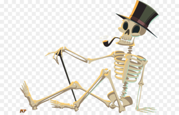 Human skeleton Clip art - others Human skeleton Clip art - others