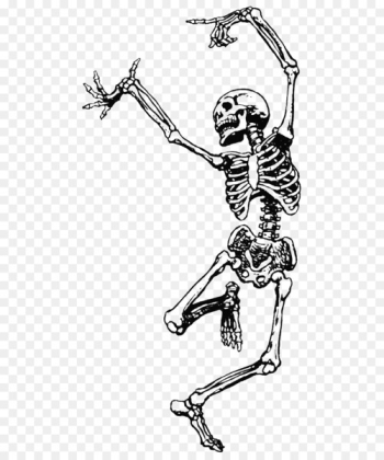 Human skeleton Dance Skull Clip art - Skull Human skeleton Dance Skull Clip art - Skull