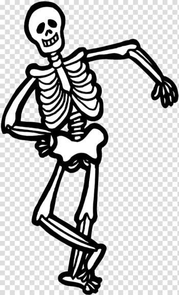 Human skeleton Drawing , Skeleton transparent background PNG clipart Human skeleton Drawing , Skeleton transparent background PNG clipart
