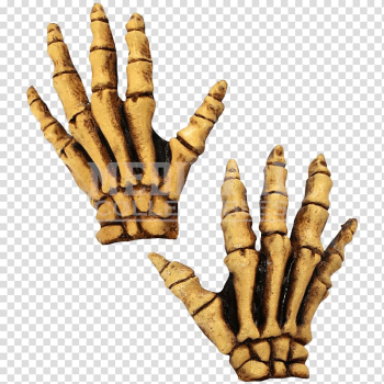Human skeleton Glove Costume Bone, Skeleton transparent background PNG clipart Human skeleton Glove Costume Bone, Skeleton transparent background PNG clipart