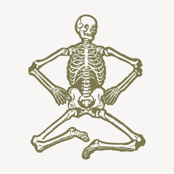 Human skeleton, medical illustration | Free Photo Illustration - rawpixel Human skeleton, medical illustration | Free Photo Illustration - rawpixel