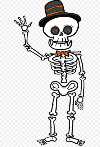 Human skeleton Microsoft PowerPoint Clip art - A greeting skeleton 
