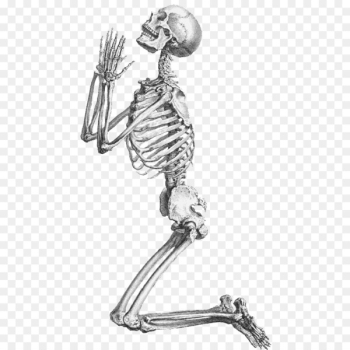 Human skeleton Prayer Praying De humani corporis fabrica libri septem - Halloween Skeleton Transparent Background 