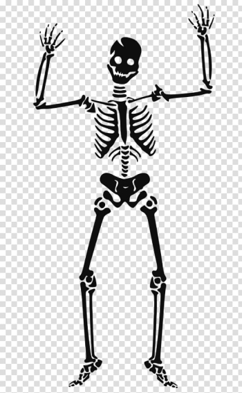 Human skeleton Skull , skull transparent background PNG clipart Human skeleton Skull , skull transparent background PNG clipart