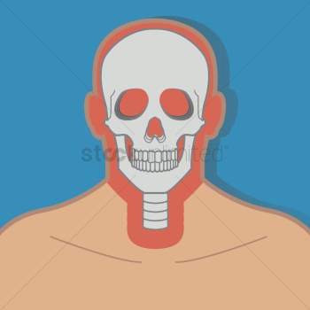 Human skull Human skull
