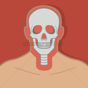 Human skull Human skull