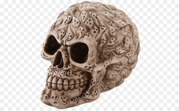 Human skull Calavera Skeleton Bone - skull Human skull Calavera Skeleton Bone - skull
