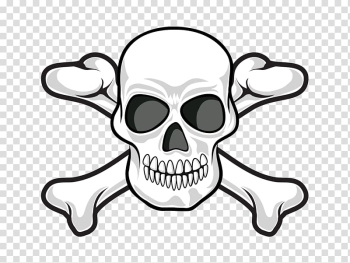 Human skull symbolism Skull and crossbones Jolly Roger, Personality skull transparent background PNG clipart