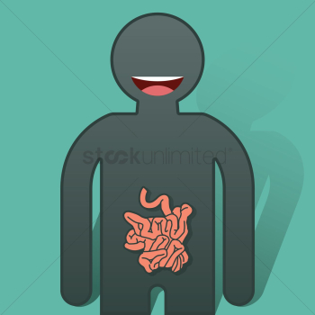 Human small intestine